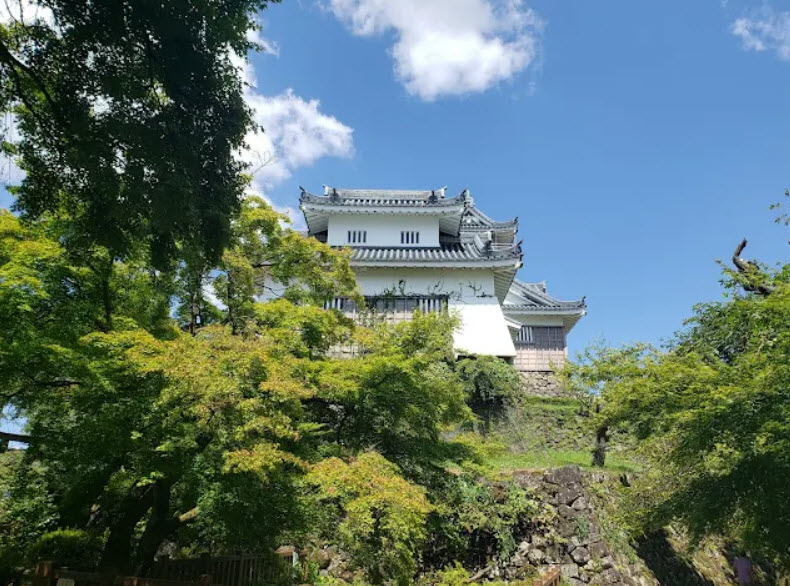Echizen Ono Castle, Japan
